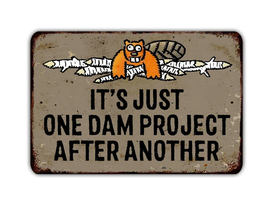 a sign that says it's just one dam project after another