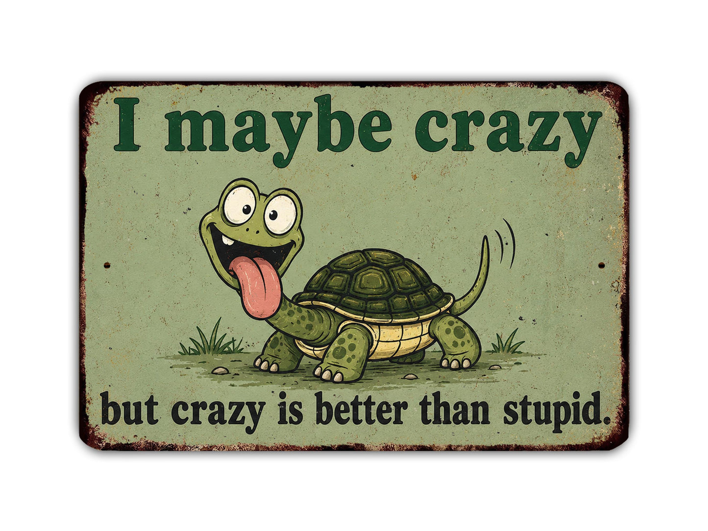 A sign with a cartoon turtle and the text "I might be crazy, but crazy is better than stupid."