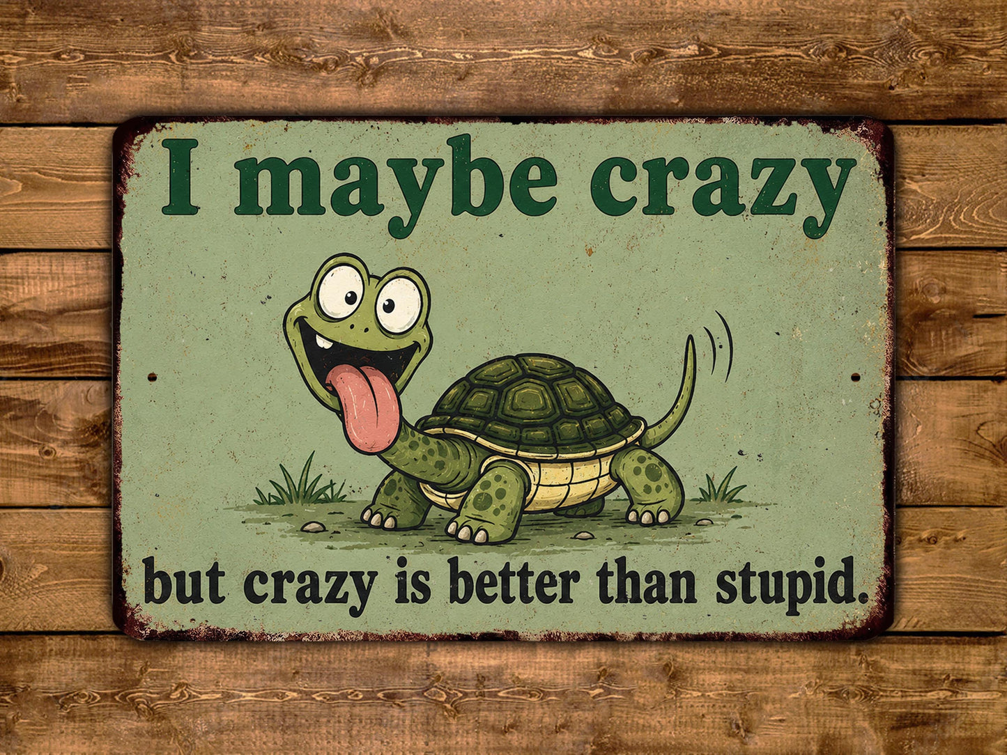 A sign with a cartoon turtle and the text "I might be crazy, but crazy is better than stupid."